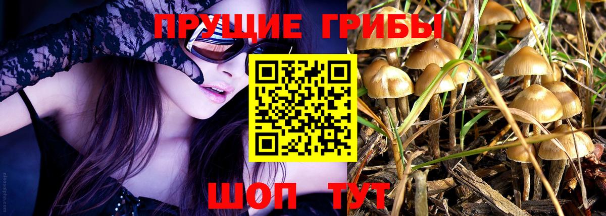 Галлюциногенные грибы GOLDEN TEACHER Красноармейск